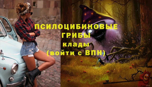 экстази Сатка